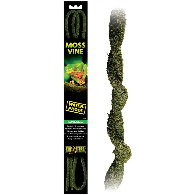 Рослина Moss Vine/лоза S