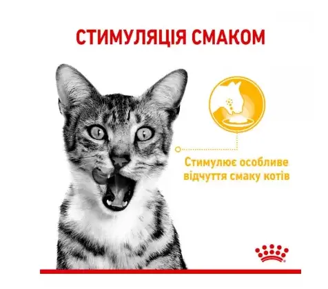 Royal Canin, Sensory Taste соус 0.085кг