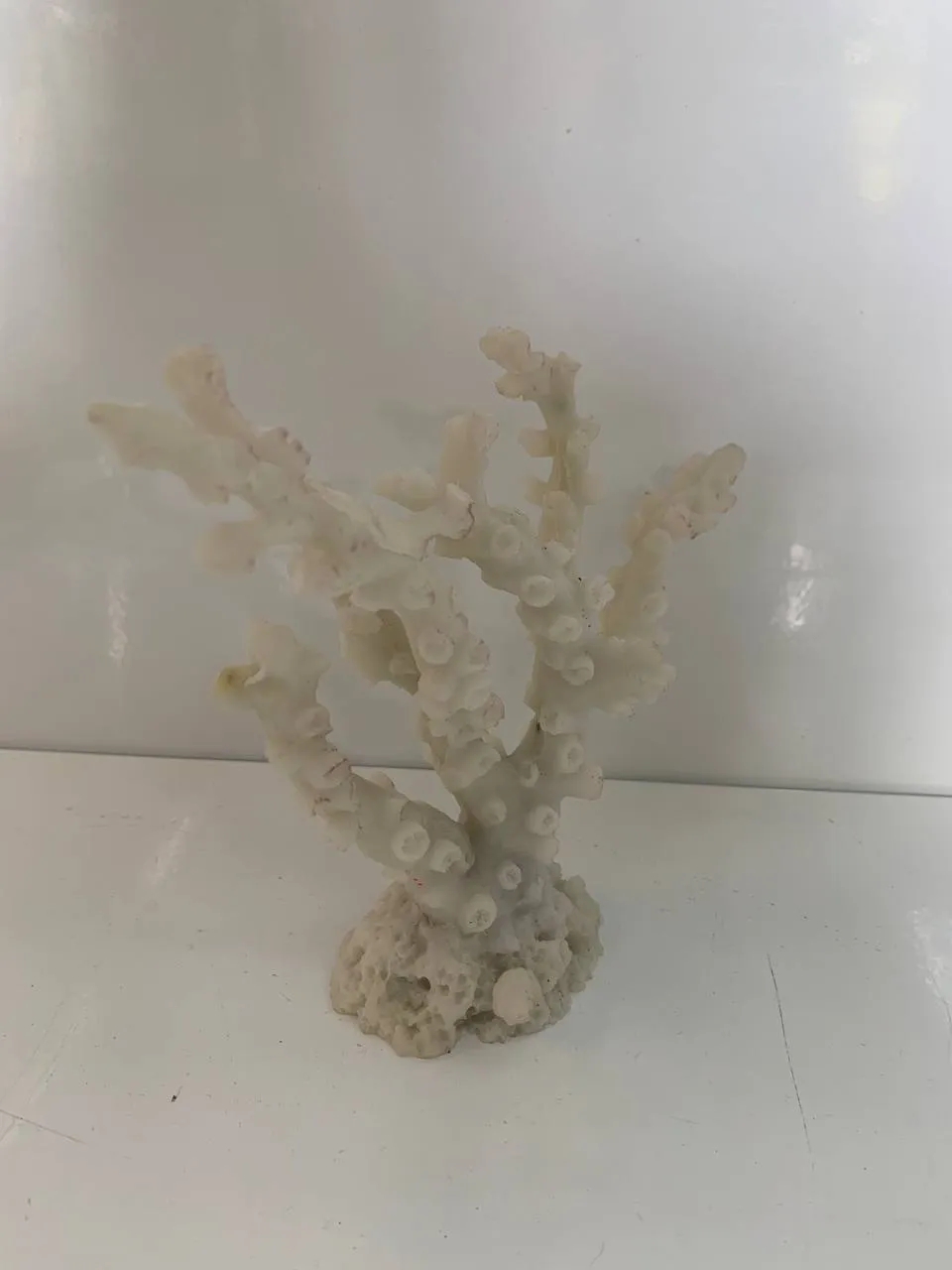 Корал 18*6*15см білий 1432W