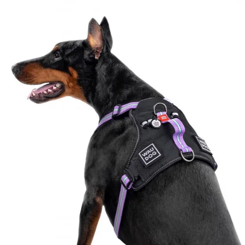 52499 Шлея безпечна WAUDOG Nylon с QR-паспортом, металічна пряжка-фастекс М, Ш 20мм, Дов A 45-70см, В 60-80см фіолетова