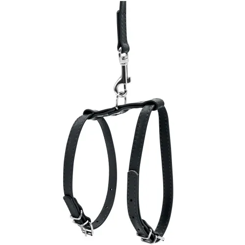 33991 Шлея з повідцем для собак шкіряна WAUDOG Glamour, Ш 9мм, А 20-30см, В 30-40см чорний