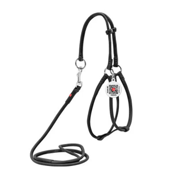 46231 Шлея WAUDOG Soft з QR-паспортом, кругла з повідцем Д 6мм А 26-46см В 30-50см чорна