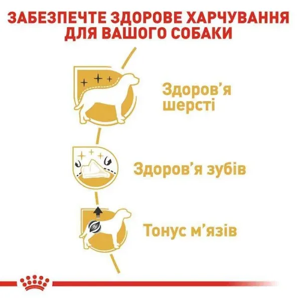Royal Canin, Poodle Adult 1.5кг