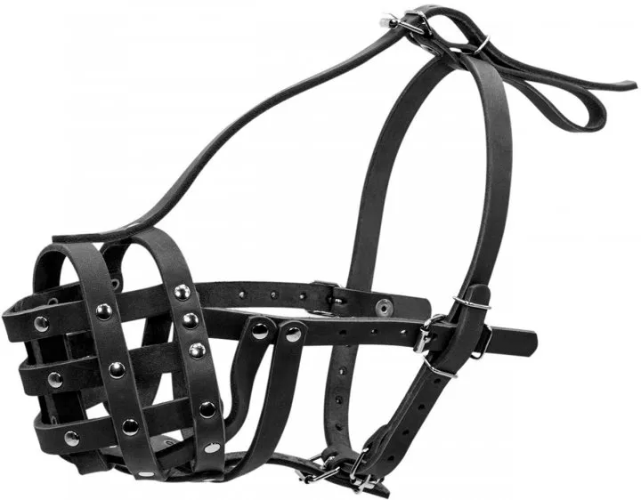 0598 Намордник твердий "CoLLaR" (мопс,акіта) чорний