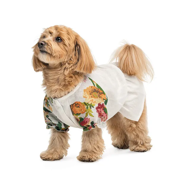 Сорочка Pet Fashion Соломія для собак дівчинка S Біла