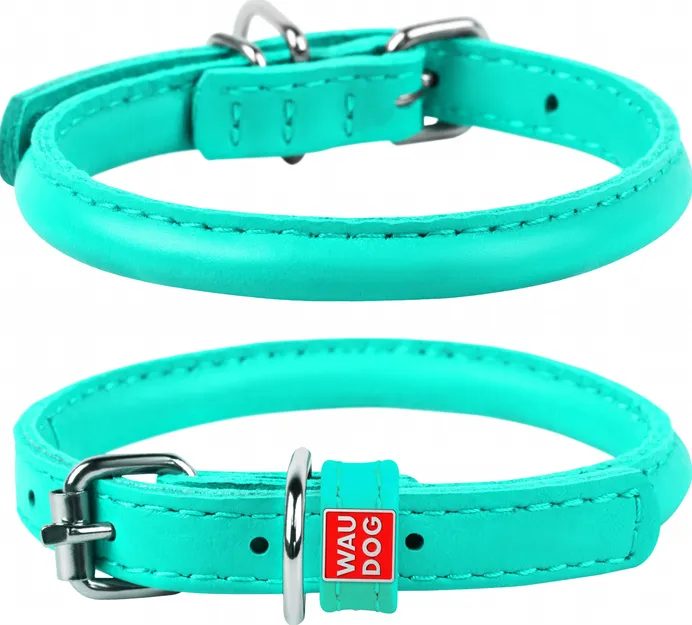 222613 Нашийник WAUDOG Glamour круглий Д 6мм Дов 17-20 ментоловий