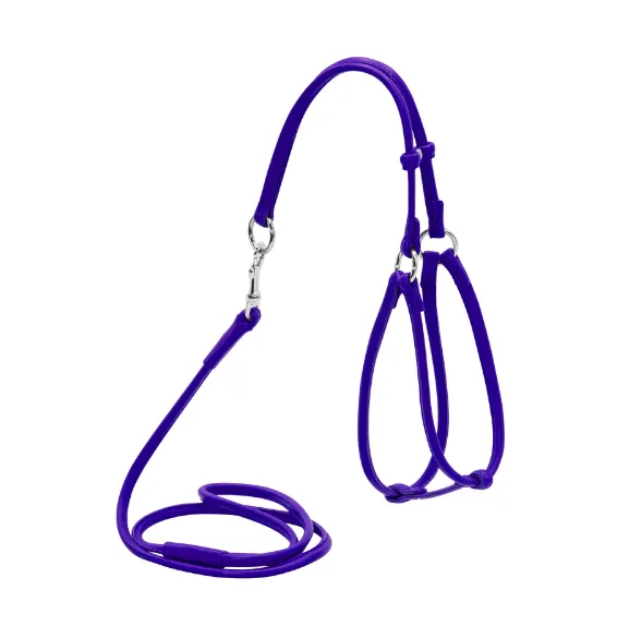 34019 Шлея кругла "CoLLaR Glamour" №1 з повід для котів та дрібн. порід собак (шир.6мм, А 27-35см, В22-30см) фіолетовий