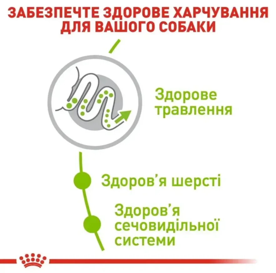Royal Canin, X-Small Adult 0.5кг