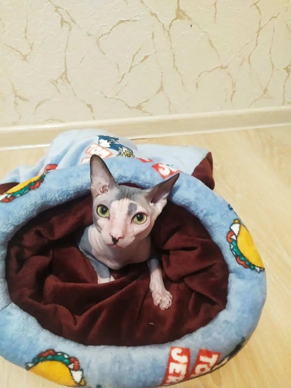 Спальник №2 для кота махра 580*620