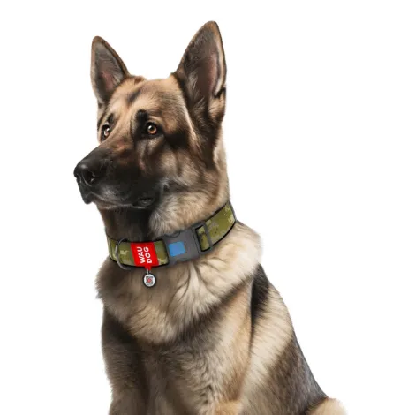 283-4026 Нашийник WAUDOG Nylon з QR паспортом, малюнок "Мілітарі", пласт. фастекс XL Ш 25мм Д 37-58см