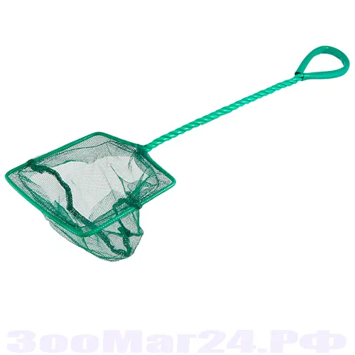 Сачок малий (Лорі)