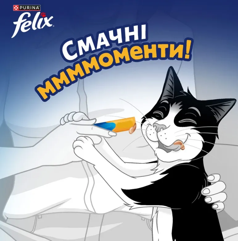 Felix Deli Moments рідкі ласощі з куркою 4*10г