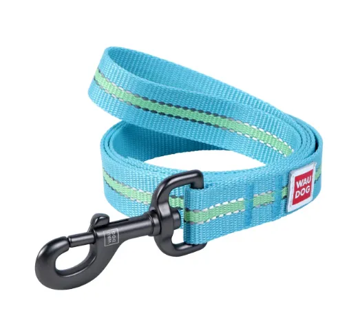 45742 Повідець WauDog Nylon, світлонакопичувальний (20мм,122см) блакитний