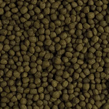 Корм Tropical Flower Horn Adult Pellet, 100 г