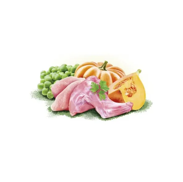 Brit Christmas Dog Різдвяна консерва 400g кролик 101335