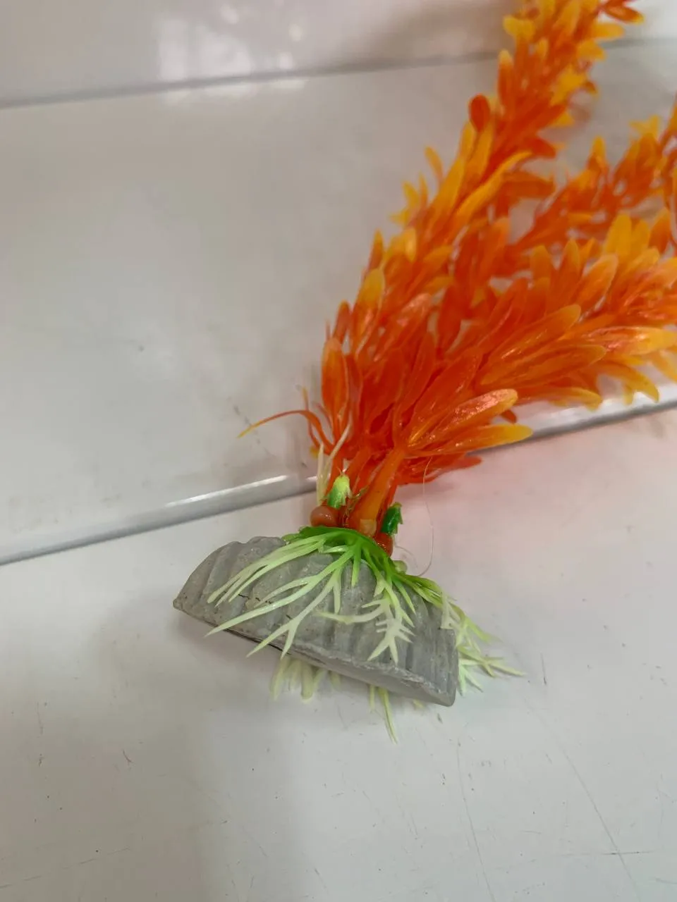 Акваріумна рослина 30см помар. 12in120D