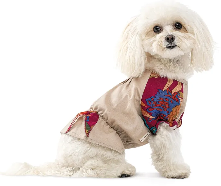 Сорочка Pet Fashion Соломія для собак дівчинка XS2 Бежева