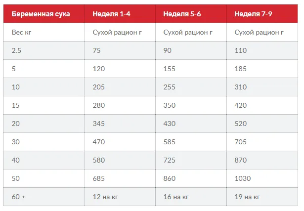 SP Puppy HDev L&R - цуценята (медіум) ягня та рис 1кг 604353