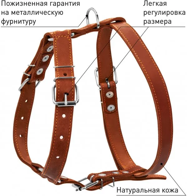 06386 Шлея "CoLLaR" одинарна для середніх собак Ш 25мм, А:49-68см, В:68-80см коричнева
