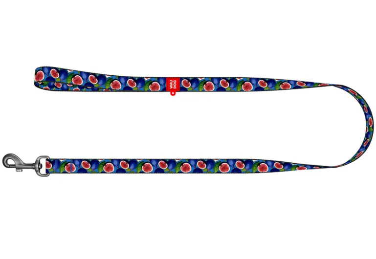 340-4053 Повідець WAUDOG Nylon малюнок "Інжир" S Ш 15мм Д 122см