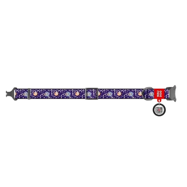 4505-0281 Нашийник WAUDOG Nylon з QR паспортом, малюнок "Рік та морті 2", метал. фастекс S Ш 15мм Д 25-35см