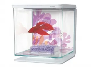 Акваріум для півника Betta Kit Flower 2L