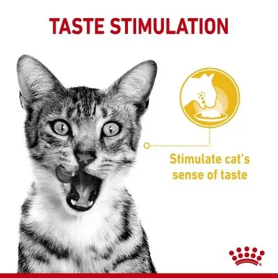 Royal Canin, Sensory Taste, желе 0.085кг