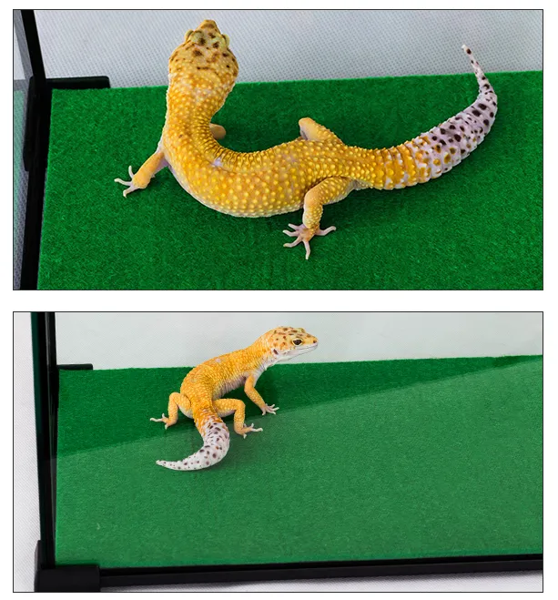Килимок-субстрат Repti-Zoo Carpet Mat 30x30 EC06