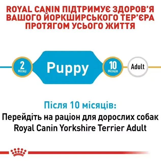 Royal Canin, Yorkshire Terrier Puppy 0.5кг