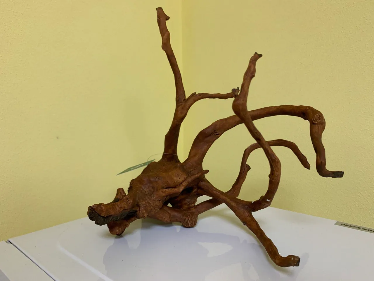 Коряга мангр. штучна 28,4х24,8х29,9см ТB214A