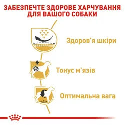 Royal Canin, Pug Adult, 1,5кг