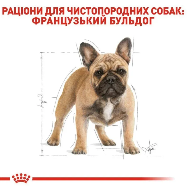 Royal Canin, French Bulldog Adult 1.5кг