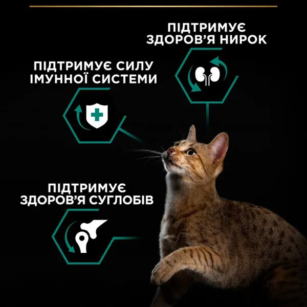 ProPlan 3 кг Sterilised Renal з індичкою для стерилізованих