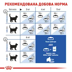 Royal Canin, Indoor Long Hair сухий корм для дорослих котів з довгою шерстю 0,400кг