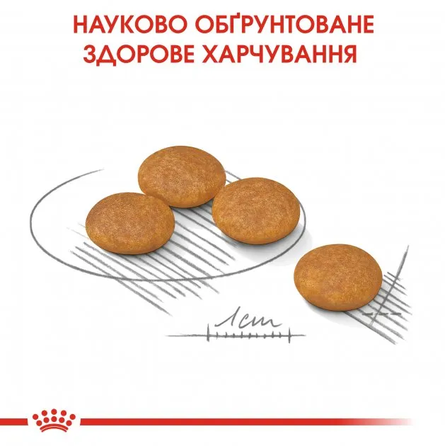 Royal Canin, Mini Dermaсomfort, 3кг