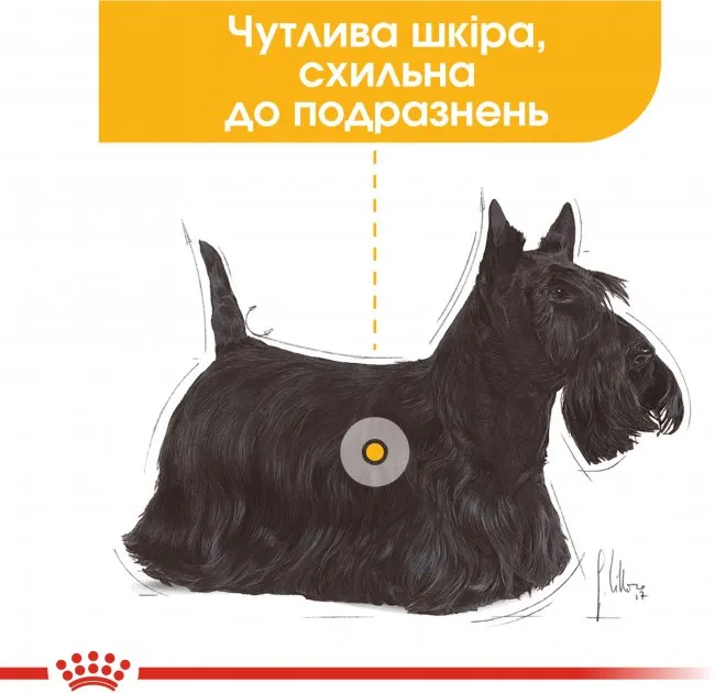 Royal Canin, Dermacomfort LOAF Dog 0.085кг