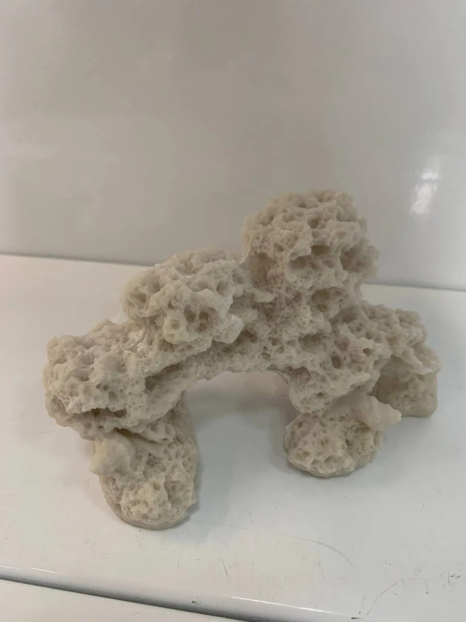 Кораловий риф 17*11*10см білий 1910W