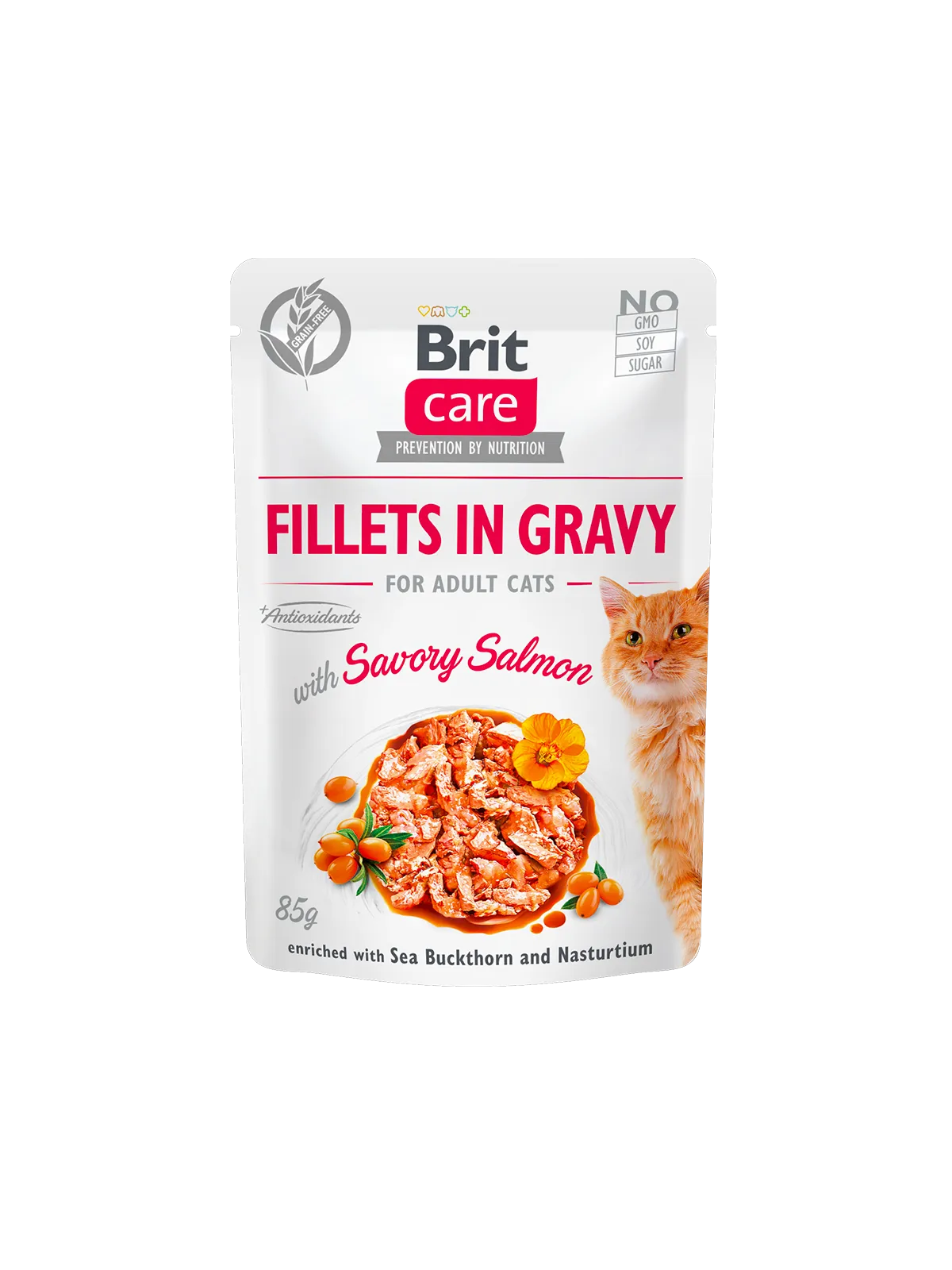 Brit Care Cat pouch (філе в соусі пікантний лосось) 85g