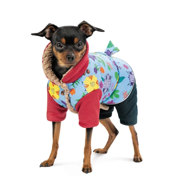 Костюм для собак Pet Fashion дівчинка Alisa S