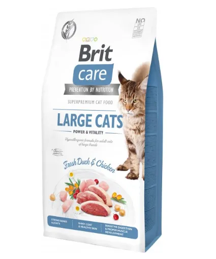 Brit Care Cat GF Large cats Power & Vitality (для котів великих порід) 1кг
