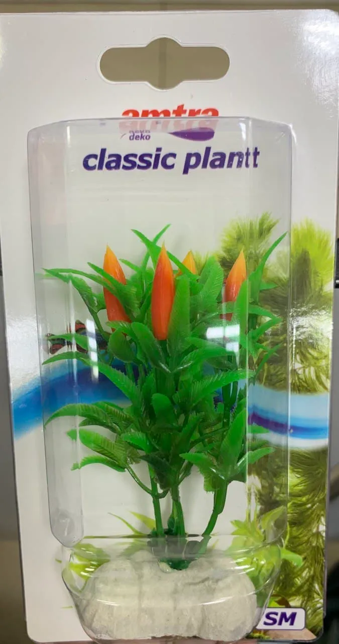 8011252 Рослина Egeria Classic SM, штучна, 12cm