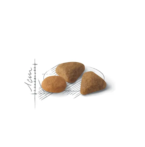 Royal Canin, Exigent Savour корм для вибагливих кішок від 12 місяців, 4кг