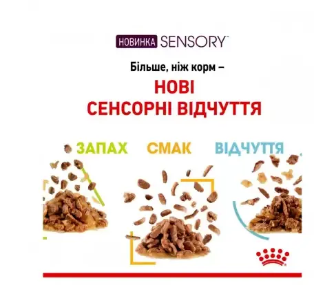 Royal Canin, Sensory Smell, соус 0.085кг