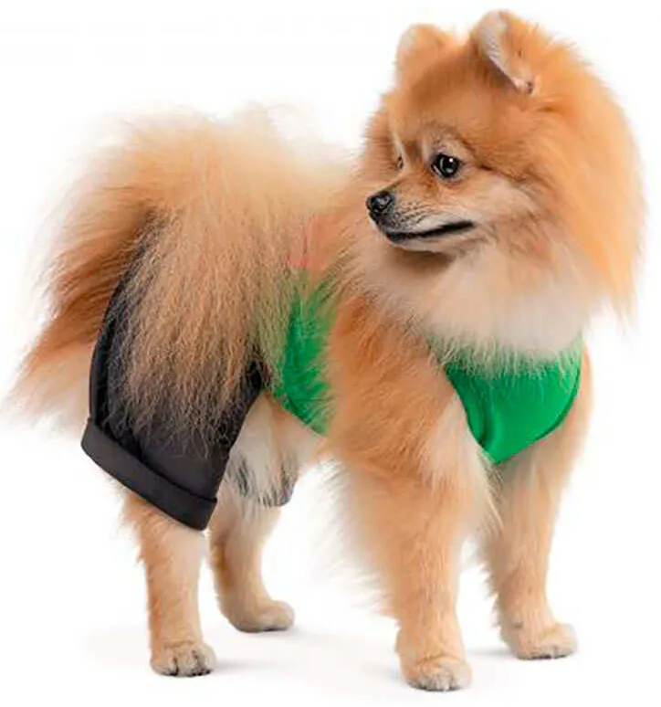 Костюм Pet Fashion Aleks S для тварин