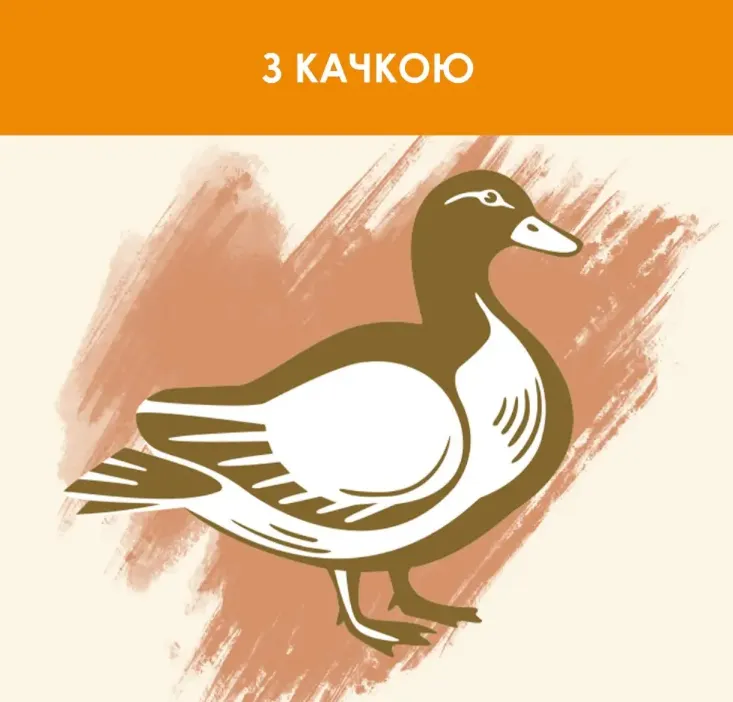 СаtChow Качка 1кг