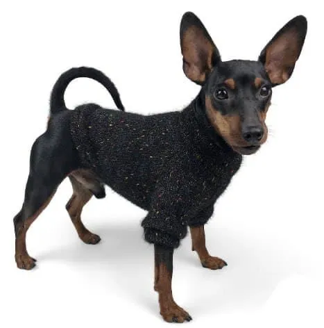 Светр Dogs Bomba травка чорний розмір 3 Y-189/3