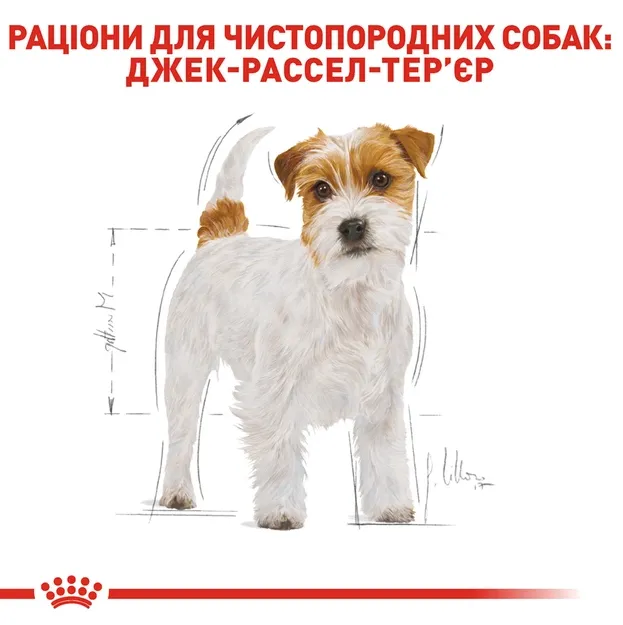 Royal Canin, Jack Russel Adult 1кг