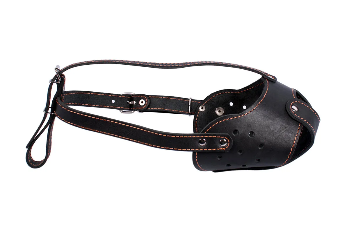 CoLLaR Намордник (бультер'єр)