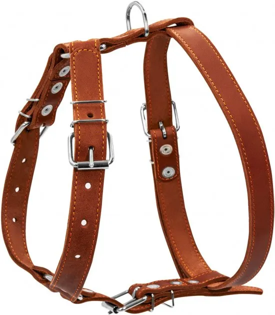 06386 Шлея "CoLLaR" одинарна для середніх собак Ш 25мм, А:49-68см, В:68-80см коричнева