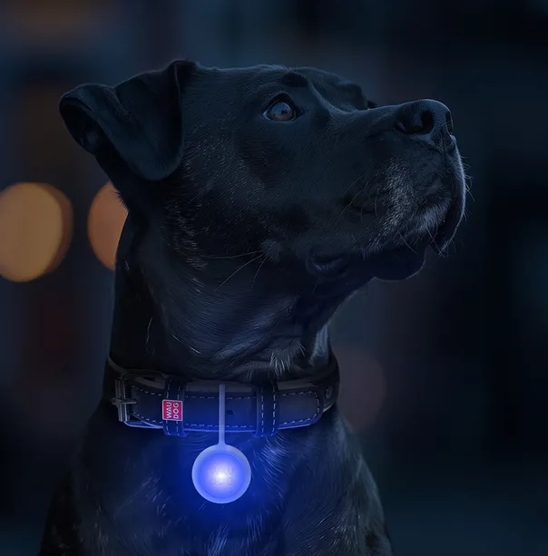 8882 Ліхтарик WAUDOG LED USB-C